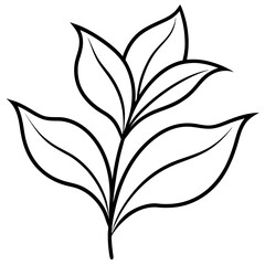 black and white leaves