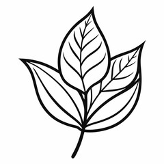 black and white leaves