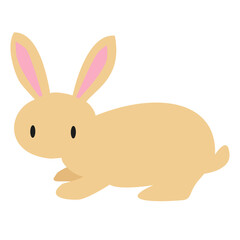 easter bunny rabbit