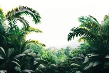 Fototapeta premium Forest backgrounds vegetation rainforest.