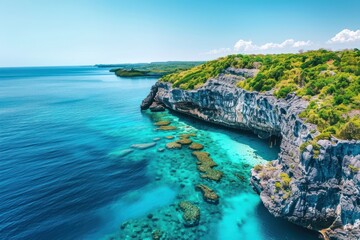 Tropical paradise shoreline outdoors nature.