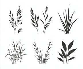 Elegant Grass and Plant Silhouettes
