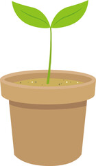 pot