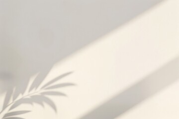 Minimalist leaf shadow on wall