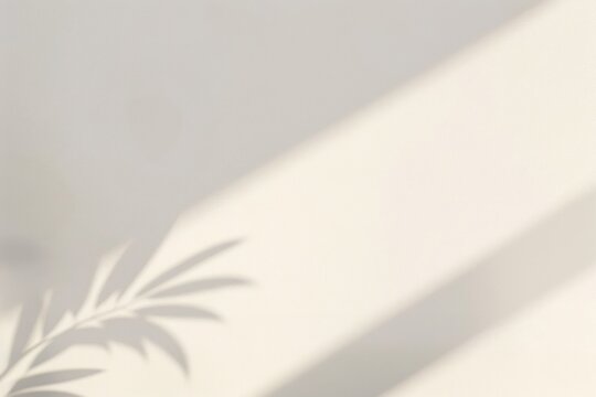 Minimalist leaf shadow on wall