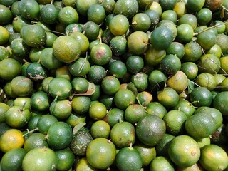 Fresh Green Citrus Fruits Piled Together at Market Stall