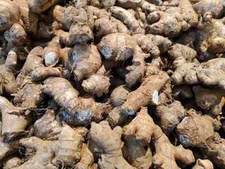 Fresh organic ginger roots stacked together in a market display