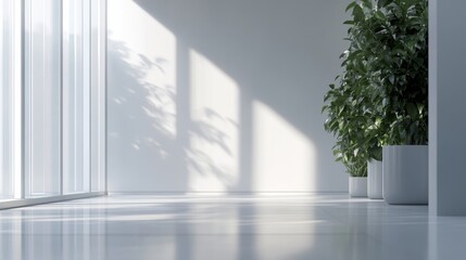 Bright Indoor Space with Large Windows and Green Plants in Pots