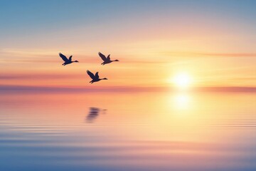 Fototapeta premium Graceful Birds Flying Over Calm Water During Serene Sunset