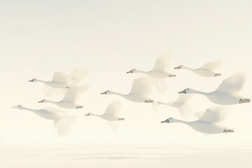 Obraz premium Elegant White Birds in Flight Over Soft Neutral Background