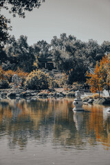 Fototapeta premium Serene Pavilion by Reflective Pond in Tranquil Garden