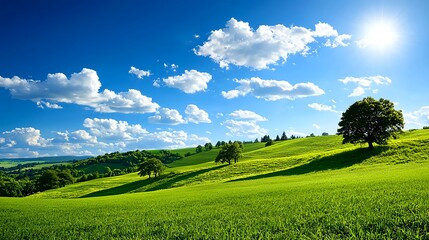 Fototapeta premium Expansive Green Landscape Under Bright Blue Sky with Fluffy Clouds