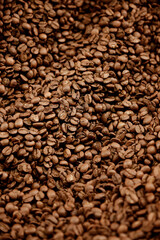 Abundance of freshly roasted coffee beans