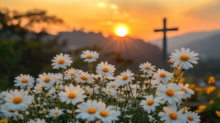Daisies and cross silhouette at sunset in scenic landscape. Easter, Pascha, Paskha, Ostern, Pascua, Paques - Orthodox and Catholic Holiday celebration