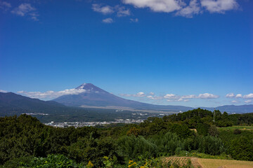 Fototapeta premium 三島市佐野から見た富士山