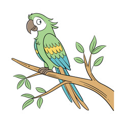 parrot vector white background