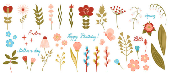 A floral set of flowers, leaves and inscriptions. Botanical vector illustration