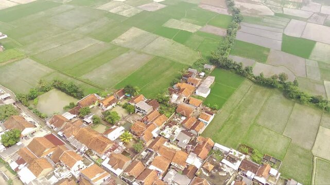 Drone Footage of Small Village and Lush green crops. Vast Agricultural Fields and settlements in rural area of ​​West Java, Indonesia. High Angle Views. Aerial Landscape in 4K Resolution.
