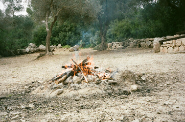 Warm flames dance over a campfire surrounded by trees and rocky terrain. Smoke rises gently into the evening air, creating a cozy atmosphere in nature.