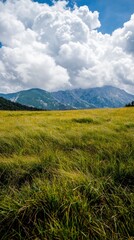 Fototapeta premium Serene Meadow Landscape Rolling Hills Fluffy Clouds Summer Nature Scene