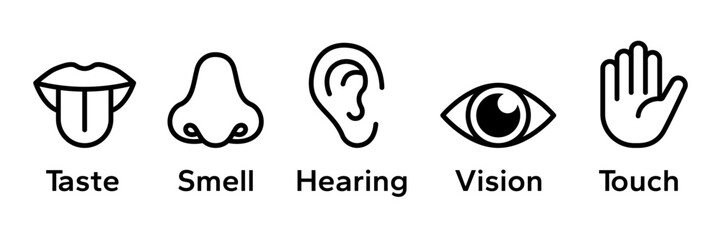 Human senses icon set. Vision eye, smell nose, hearing ear, touch hand, taste mouth with tongue. Simple line icons and black circle. Five senses of human nervous system. Vector illustration.