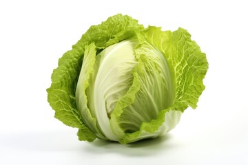 Cabbage lettuce cabbage vegetable plant.