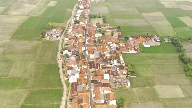 Drone Footage of Small Village and Lush green crops. Vast Agricultural Fields and settlements in rural area of ​​West Java, Indonesia. High Angle Views. Aerial Landscape in 4K Resolution.