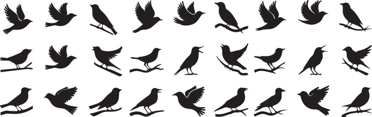 Fototapeta premium set of bird silhouette icons in various poses with white backgrounds. 