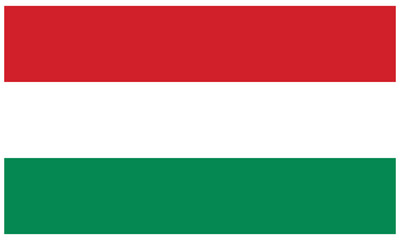 Hungary flag.Hungary national flag. Vector