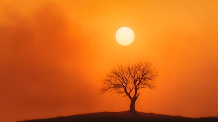 Lone tree silhouette in foggy sunset landscape with soft colors and atmospheric mood captured in nature scene