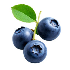 Obraz premium blueberries on white