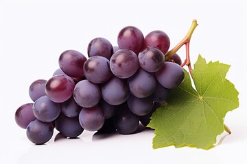 Fototapeta premium Grapes bunch purple fruit plant.