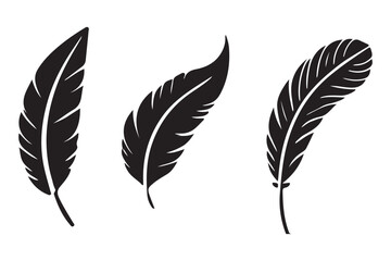 Detailed Black Silhouette Feather Vector Graphic