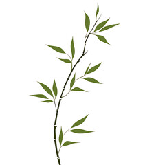 Fototapeta premium Flowers and leaves in pictures illustrator2D