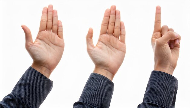 Set de manos en distintas posturas en un fondo con sombras  suaves en color blanco