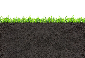 Environmental and conservation protection background. Cross section of grass and soil. Black ground...