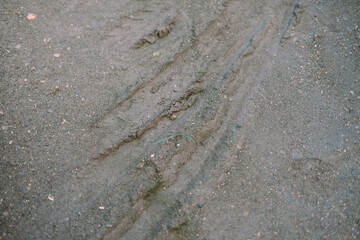 Muddy Tire Tracks
