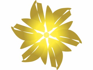 Gold flower star geometric isolated with white background 