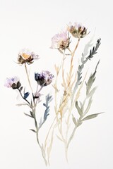 Fototapeta premium Delicate Watercolor Flowers with Soft Petals and Green Stems