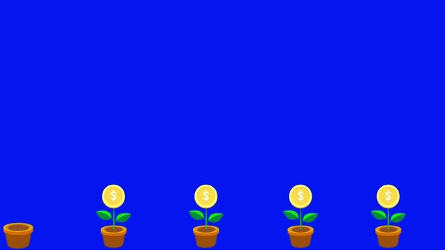 money dollar grouth income symbolic money plant blue screen video.