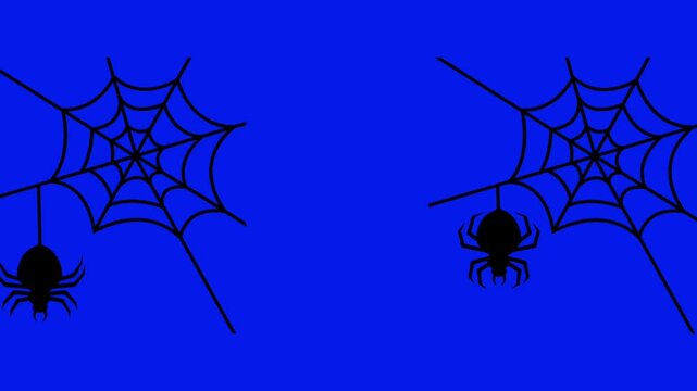 Spider motion animation blue screen.
