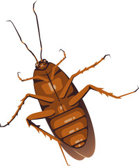 Dead cockroach lying on its back illustration