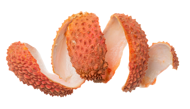 closeup of spiral lychee peel with textured red surface on isolated background
