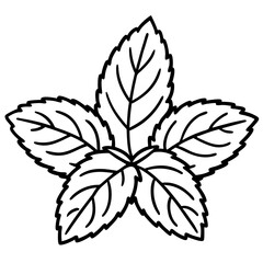 Mint Leaves Design Outline