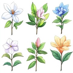 Watercolor illustration of six colorful flowers with green leaves.