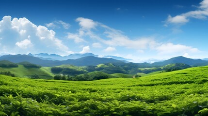 Breathtaking panoramic view of a lush verdant tea field stretching out under a clear azure sky  This serene picturesque landscape showcases the natural beauty of a thriving tea plantation