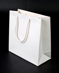 bag isolated on white