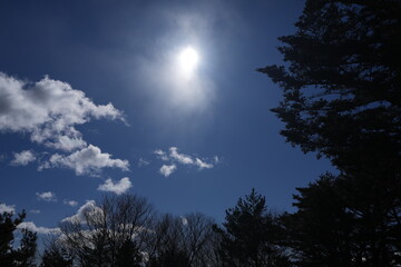 Fototapeta premium Scenery of mountain trail of Mt.takazuyasan in Komagane City, Nagano Prefecture.