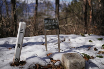 Scenery of mountain trail of Mt.takazuyasan in Komagane City, Nagano Prefecture.