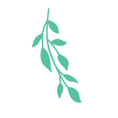 leaves